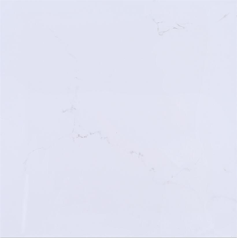 Carrara Glazed Porcelain Floor Tile