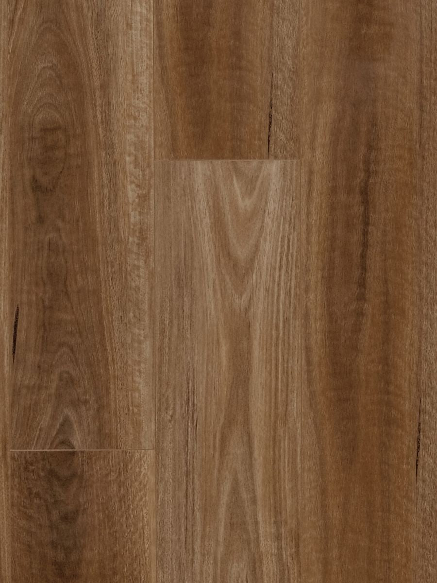 Builders Range Laminate Flooring Spotted Gum