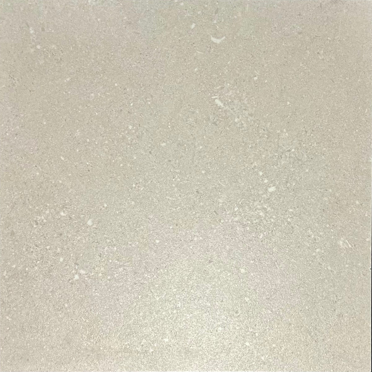 LT. GREY TERRAZZO TSG POCELAIN MATT FLOOR