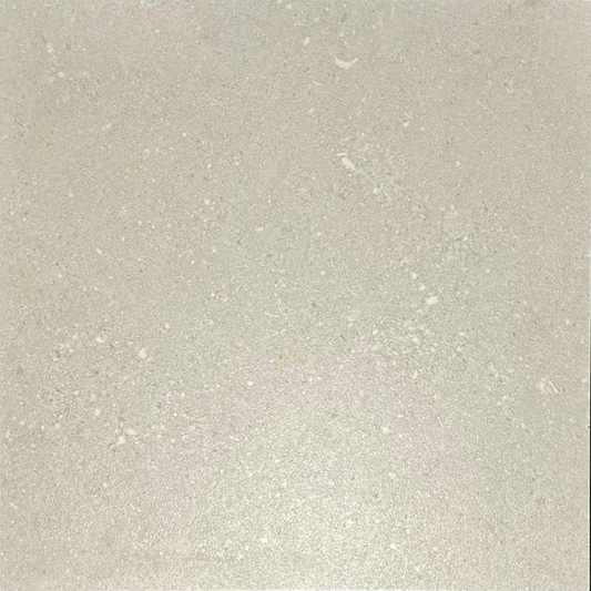 LT. GREY TERRAZZO TSG POCELAIN MATT FLOOR