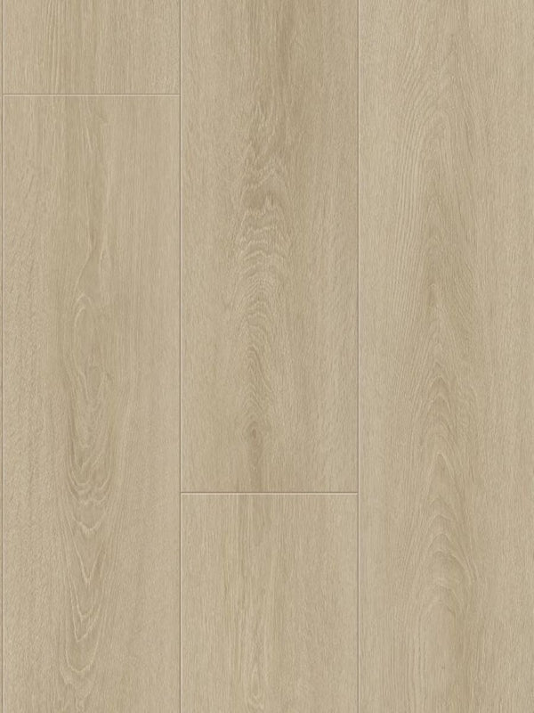 Aquaglow Los Angeles Oak Laminate 12MM Flooring – Hybrid Sales Direct