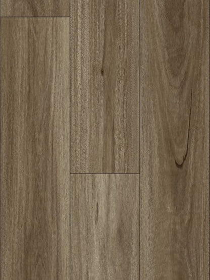 Aquaglow Spotted Gum Laminate 12MM Flooring