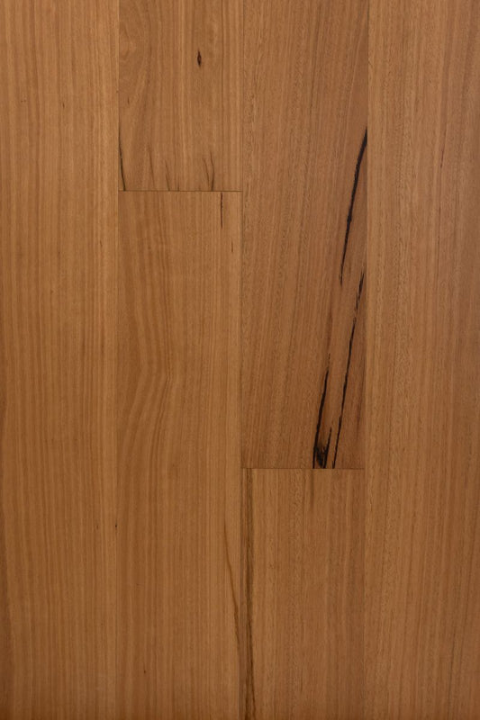 Australian BlackButt - Engineered Hardwood Flooring