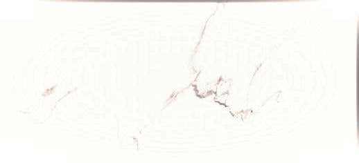 FLOOR TILE -- CARRARA