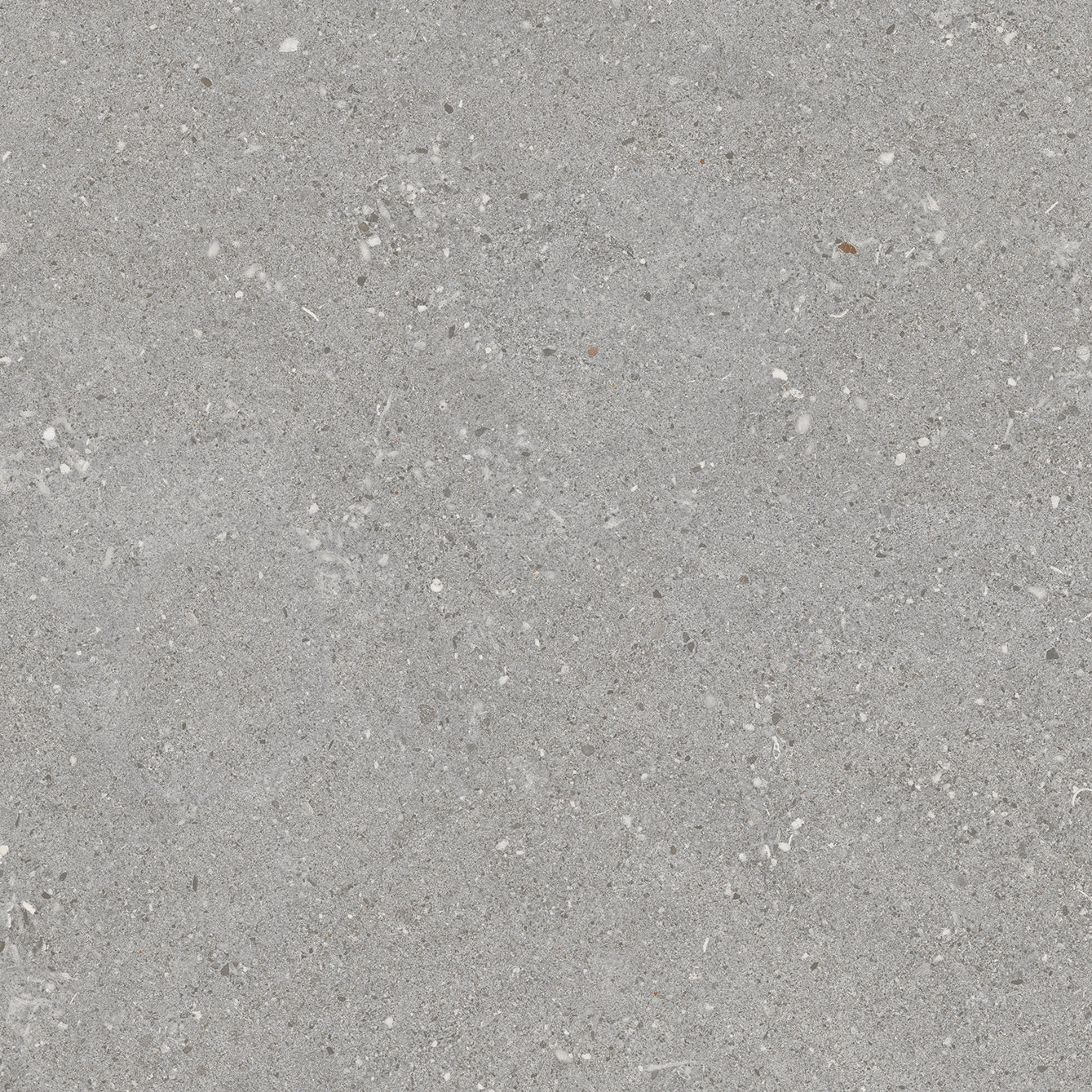 GREY TERRAZZO TSG POCELAIN MATT FLOOR