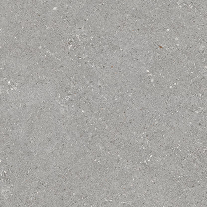 GREY TERRAZZO TSG POCELAIN MATT FLOOR