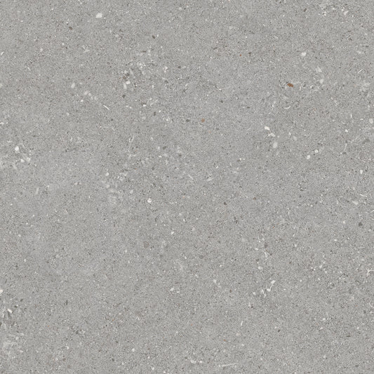 GREY TERRAZZO TSG POCELAIN MATT FLOOR